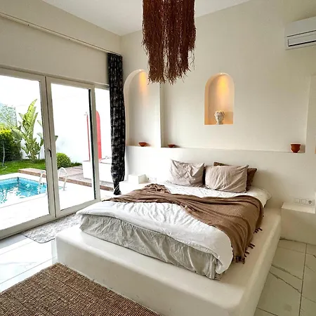Sakarya Memnuniye De 2 1 Salon Isitma Havuzlu , Muhafazakar , Soemineli , Jakuzili 6 Kisilik Tatil Villasi Villa *